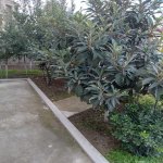 Satılır Həyət evi/villa, Abşeron rayonu 25