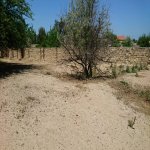 Satılır Torpaq, Goradil, Abşeron rayonu 2