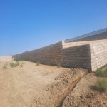 Satılır Torpaq, Məhəmmədli, Abşeron rayonu 1