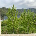Satılır 5 otaqlı Bağ evi Xızı 21