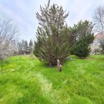 Satılır Torpaq, Nardaran qəs., Sabunçu rayonu 2