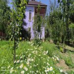 Kirayə (günlük) 5 otaqlı Həyət evi/villa Lerik 11