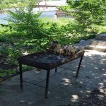 Kirayə (günlük) 5 otaqlı Bağ evi Qusar 13