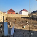 Satılır Torpaq, Fatmayi, Abşeron rayonu 2