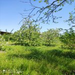 Продажа 5 комнатная Дома/Виллы Хачмаз 4