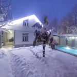 Kirayə (günlük) 3 otaqlı Həyət evi/villa Qəbələ 3