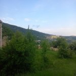 Kirayə (günlük) 2 otaqlı Bağ evi Şamaxı 5