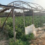 Satılır Torpaq, Türkan, Xəzər rayonu 13