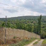 Продажа 5 комнатная Дача Губа 7