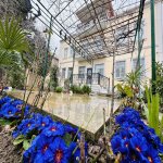 Satılır 7 otaqlı Həyət evi/villa, Xətai rayonu 26