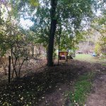 Продажа Участок, пос. Бадамдар, Сябаиль район 7