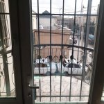 Satılır 5 otaqlı Həyət evi/villa, Binəqədi rayonu 36
