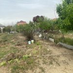 Satılır Torpaq, Novxanı, Abşeron rayonu 20