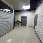 Kirayə (aylıq) 3 otaqlı Yeni Tikili, Nəriman Nərimanov metrosu, Nərimanov rayonu 13