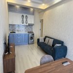 Kirayə (aylıq) 2 otaqlı Yeni Tikili, Nəriman Nərimanov metrosu, Nərimanov rayonu 3