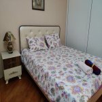 Kirayə (günlük) 3 otaqlı Köhnə Tikili, 28 May metrosu, Səbail rayonu 26