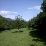 Satılır Torpaq Qəbələ 7