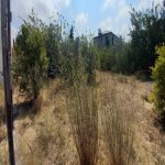 Satılır Torpaq, Novxanı, Abşeron rayonu 3