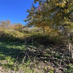 Satılır Torpaq Şamaxı 8