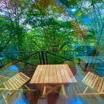 Kirayə (günlük) 1 otaqlı Həyət evi/villa Quba 10