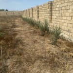 Продажа Участок, пос. Нардаран, Sea Breeze, Сабунчу район 12