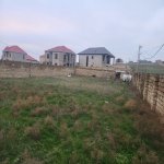Satılır Torpaq, Novxanı, Abşeron rayonu 8
