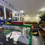 Kirayə (aylıq) Obyekt, Suraxanı rayonu 9