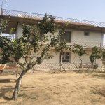 Satılır 5 otaqlı Həyət evi/villa, Xəzər rayonu 19