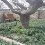 Kirayə (aylıq) 2 otaqlı Bağ evi Sumqayıt 2