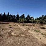 Продажа Участок, пос. Нардаран, Сабунчу район 6