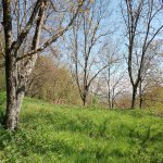 Satılır 3 otaqlı Həyət evi/villa İsmayıllı 30