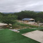 Kirayə (günlük) 3 otaqlı Bağ evi Quba 11