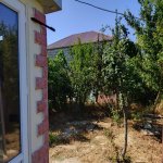Kirayə (günlük) 2 otaqlı Bağ evi, Hövsan qəs., Suraxanı rayonu 9