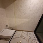 Kirayə (aylıq) Obyekt, Nərimanov rayonu 26