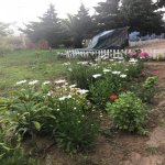 Посуточно 2 комнат Дача, пос. Билгях, Сабунчу район 4