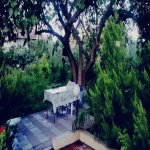 Kirayə (aylıq) 5 otaqlı Bağ evi, Novxanı, Abşeron rayonu 3