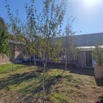 Satılır 2 otaqlı Həyət evi/villa İsmayıllı 5
