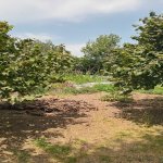 Продажа Участок Гябяля 3