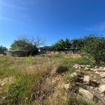 Satılır Torpaq, Novxanı, Abşeron rayonu 4
