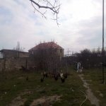 Satılır Torpaq, Maştağa qəs., Sabunçu rayonu 1