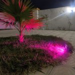 Посуточно 5 комнат Дача, Новханы, Абшерон район 16