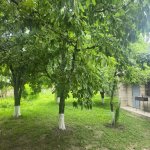 Kirayə (günlük) 2 otaqlı Həyət evi/villa Quba 3