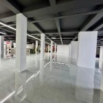 Kirayə (aylıq) Obyekt, Nəsimi rayonu 10
