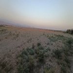 Satılır Torpaq Qəbələ 10