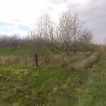 Satılır Torpaq Quba 20