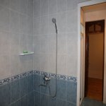 Kirayə (günlük) 3 otaqlı Bağ evi Qəbələ 18