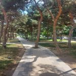 Kirayə (aylıq) 3 otaqlı Köhnə Tikili, Memar Əcəmi metrosu, 4-cü mikrorayon, Nəsimi rayonu 24