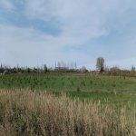 Продажа Участок Хачмаз 111