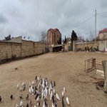 Satılır Torpaq, Novxanı, Abşeron rayonu 2