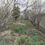 Satılır Torpaq, Novxanı, Abşeron rayonu 6